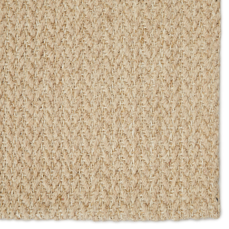 Padang Sidempuan Area Rug in Beige, Rectangle 9' x 12'