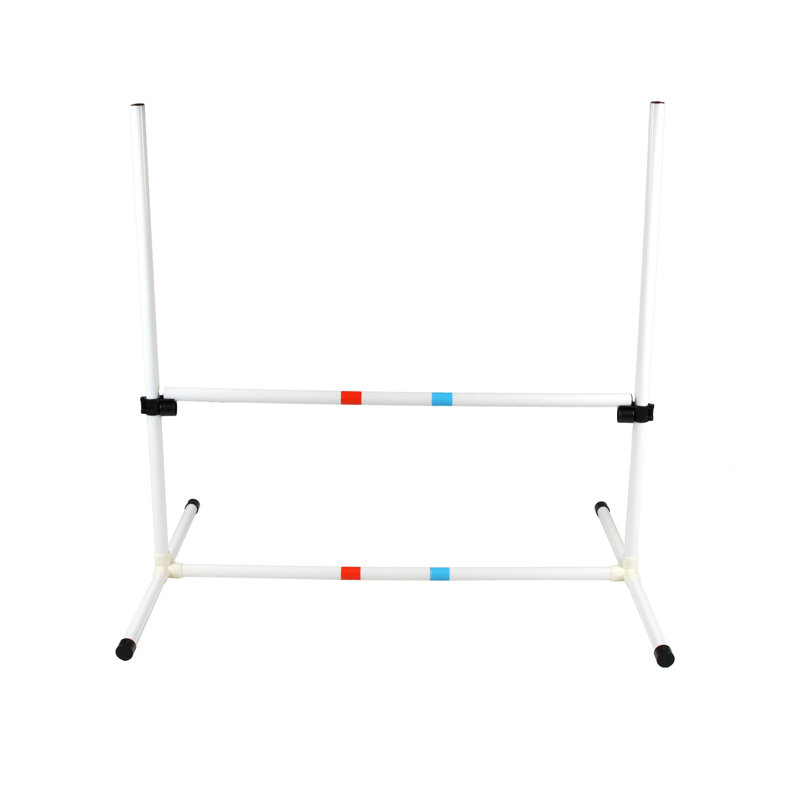 Midlee Plastic Agility Training Equipment with Carrying Case