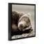 Art sur toile Cozy Sleeping Bear par Danita Delimont-2127821236-2127821235
