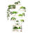 Plant Stand With Grow Lights