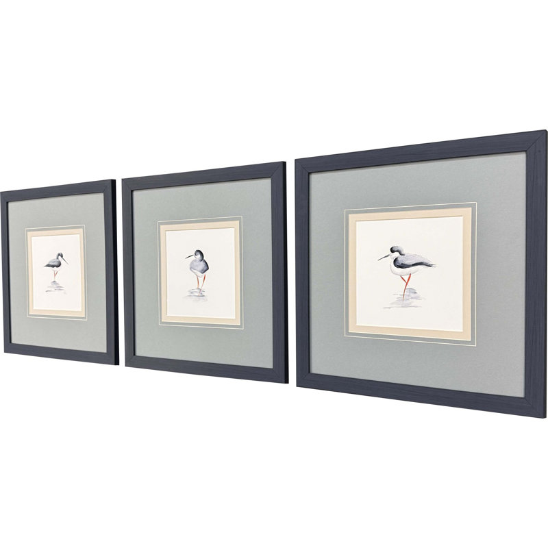 Shorebird Song II, art encadré