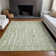 Premium Machine Washable Prisco Aloe Rug