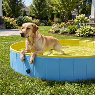 30cm H x 140cm W x 140cm D Dog Pool