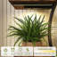 Support pour plante d'intérieur 65 pouces avec lumières DEL - 8 tablettes pour plantes d'intérieur, support à fleurs en métal pour le salon