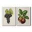 Antique Fruit VIII - Ensemble de 2 reproductions d'art sur toile-1352268571-1352268768