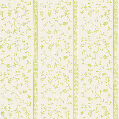 Khanpur Vine Wallpaper