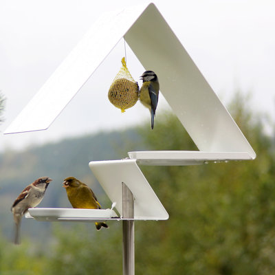 Rodent Resistant Pole Decorative Bird Feeder