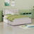 Upholstered Platform Bed With Trundle-1660466551