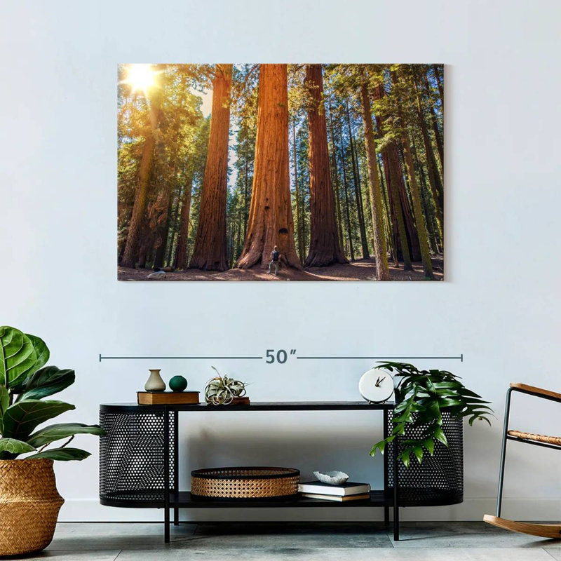 Harnek Giant Sequoia Trees, 30" H x 45" W