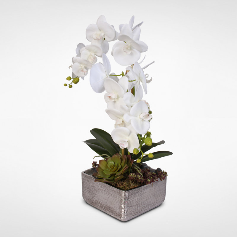 Silk Orchids Arrangement in Pot