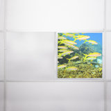 Ocean Square Fixture Component Ceiling Light