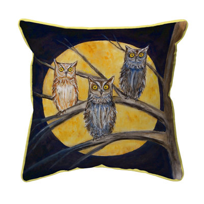 Night Owls Outdoor Throw Pillow