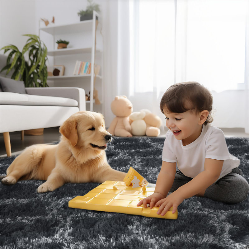 Deegan Cotton 200cm X 300cm Area Rug