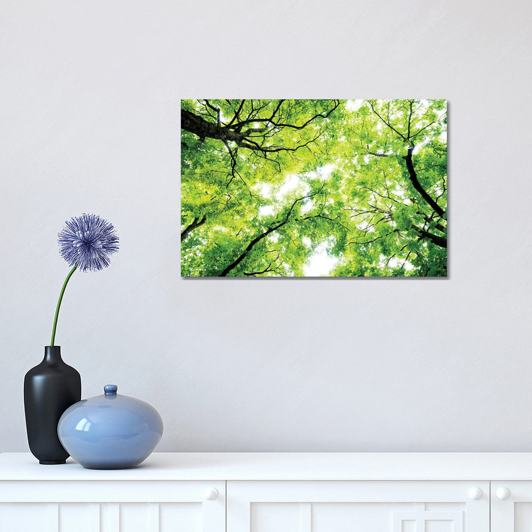 Panoramic Images - Wrapped Canvas Print