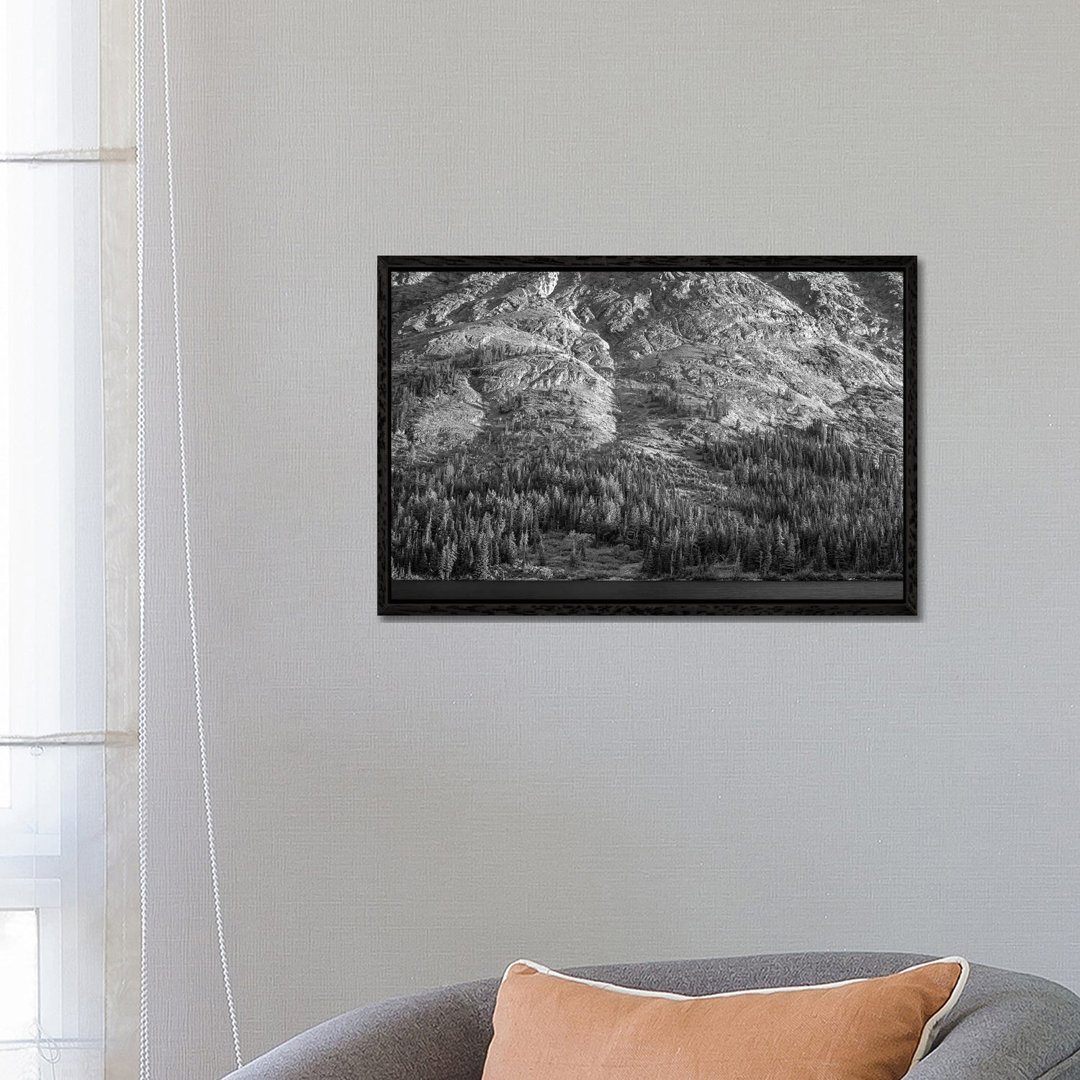 Tongass National Forest, Alaska von Tim Fitzharris - Gallery-Wrapped Canvas Giclée on Canvas