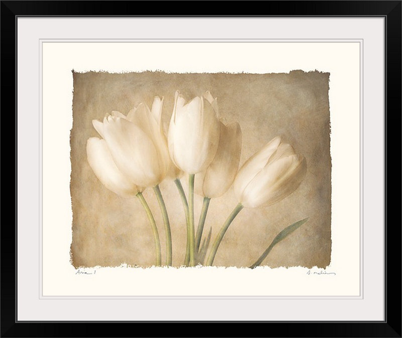 Aria - impression d'art graphique, H 32 po x l 38 po x P 1 po, Cadre noir