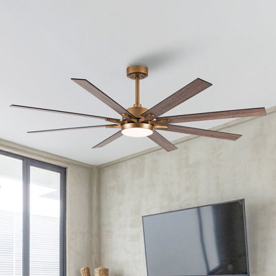 Boleslaus 65'' Ceiling Fan with LED Lights