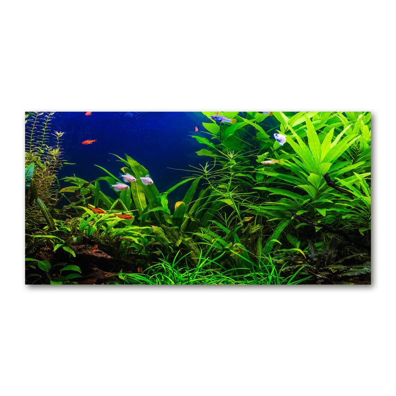50cm W x 100cm L Glass Peel and Stick Panel