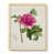 Toile avec cadre naturel