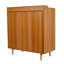 Fasching Solid Wood Rectangle Accent Cabinet-1066227636