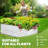 Tabethia 6X3X2 Ft Galvanized Raised Garden Bed