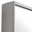 Novella Free Form Metal Mirror