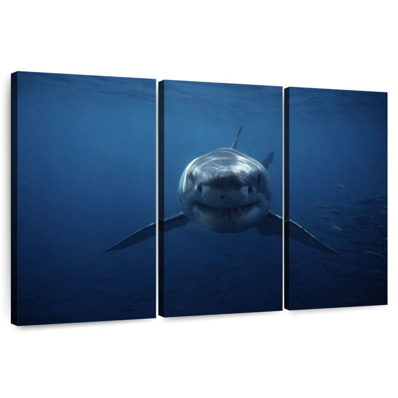 Brampt Shark Stalking, 20" H x 33" W