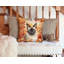 Coussin Birman-112679475