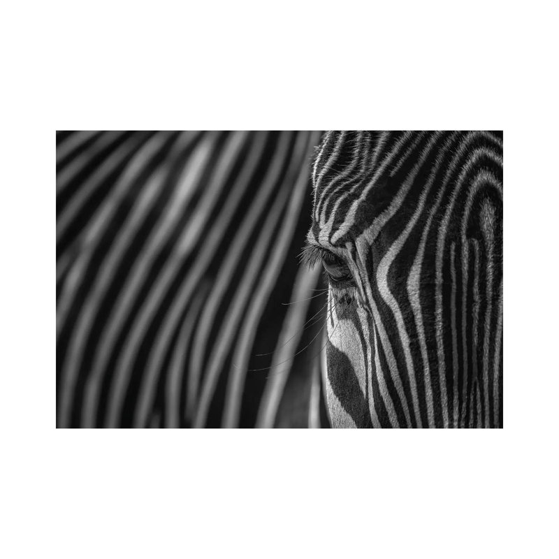 Simple Pattern - Camouflage Black And White by Louis Ruth - Wrapped Canvas Print, 66.04 cm H x 45.72 cm W x 1.91 cm D