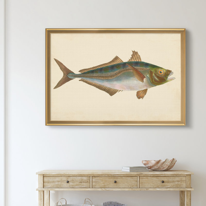 «Donovan Antique Fish III», impression sur toile encadrée, H 22,5 po x l 30,5 po x P 1,5 po, Doré