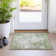 Aleighna Area Rug with Non-Slip Backing