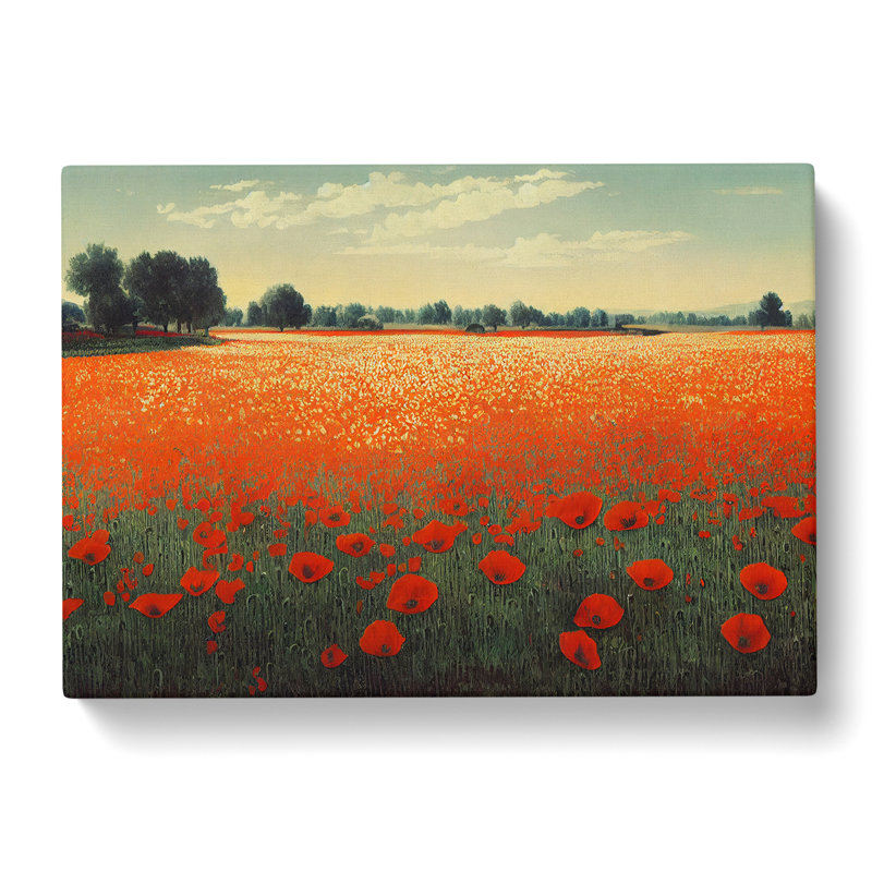 Blooming Poppy Field Flowers - Wrapped Canvas, 35cm H x 50cm W x 3cm D