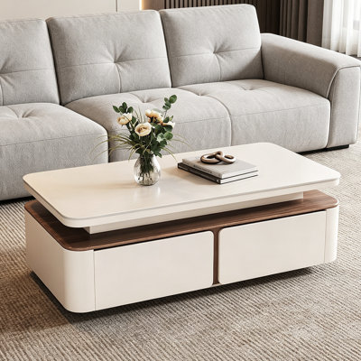Table basse rectangulaire avec rangement Modern Simplicity