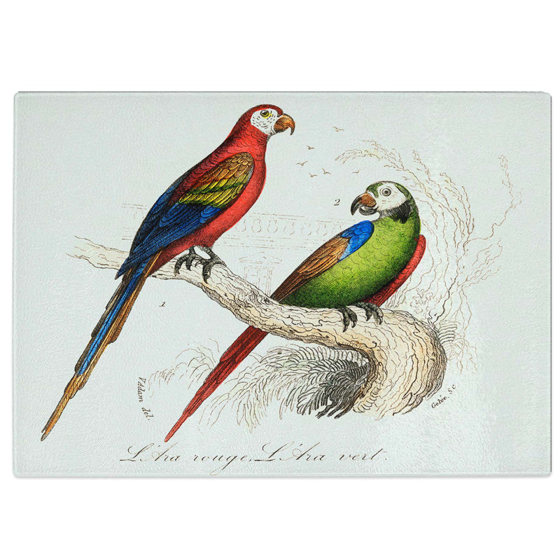 Tempered Glass Macaw Chopping Board, 39 cm W x 28.5 cm L