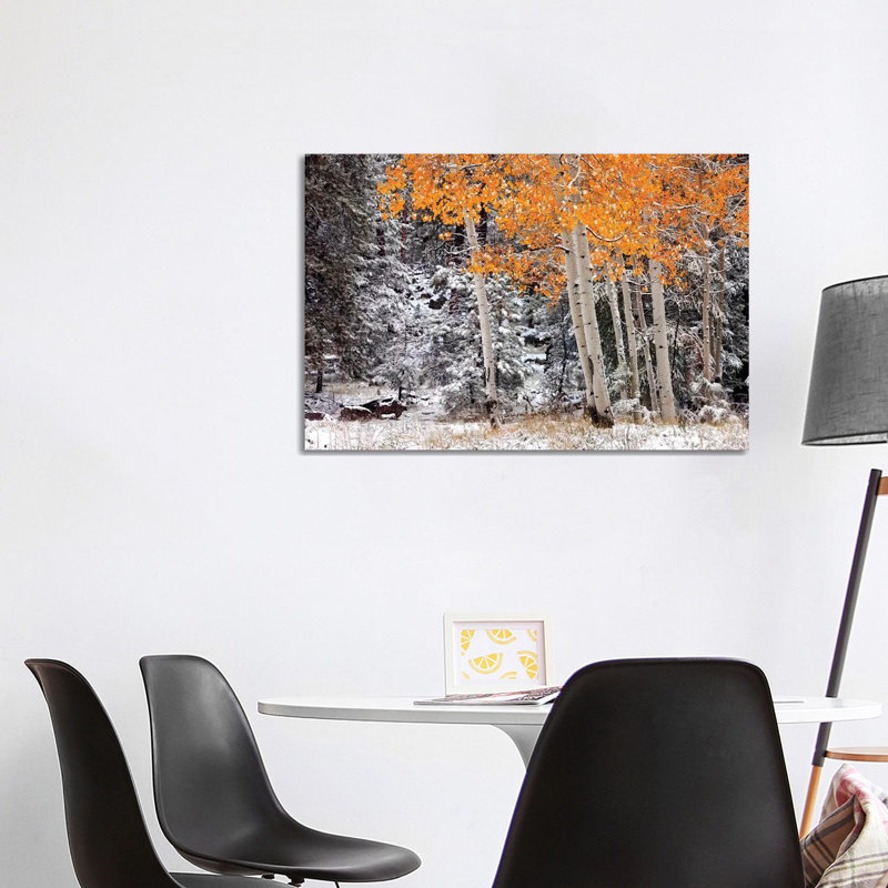 A Little Bit Of Winter by Mike Jones - Wrapped Canvas Print, 101.6 cm H x 66.04 cm W