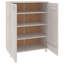 Shoe Storage Cabinet