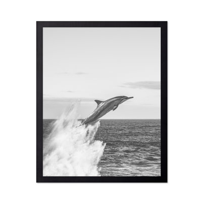 Jumping Dolphin