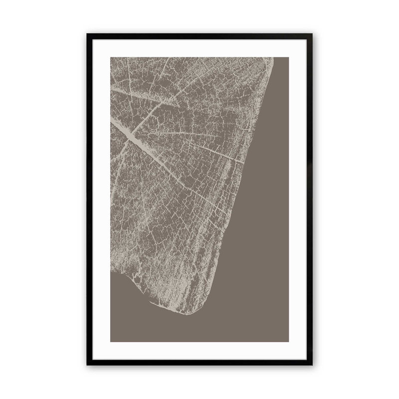 «Timeless Grains I Print», H 21 po x l 17 po, Noir