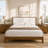 Luca Solid Wood Upholstered Boucle Bed Frame-131499531-131499533