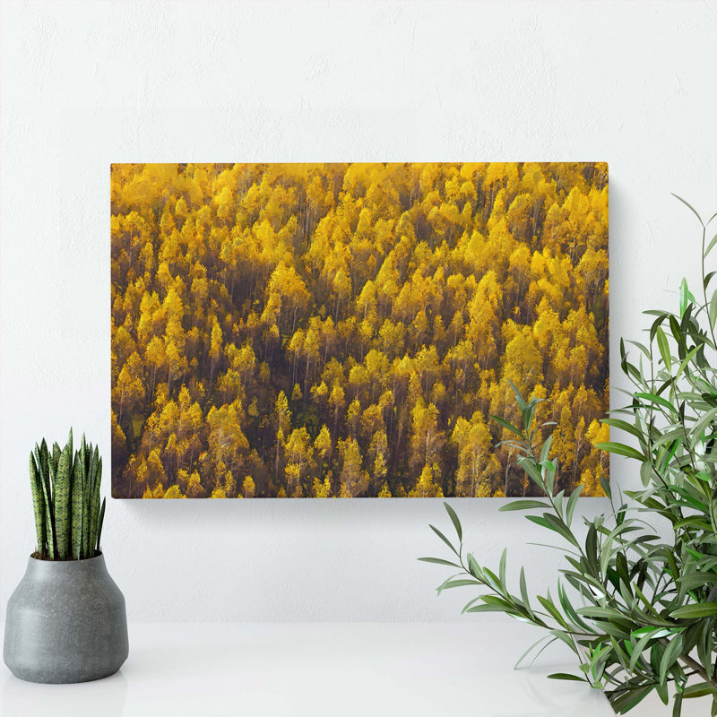 Golden Forest In Abstract - Wrapped Canvas Print, 60cm H x 91cm W x 3cm D