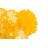 Flower Wall Décor-274769325