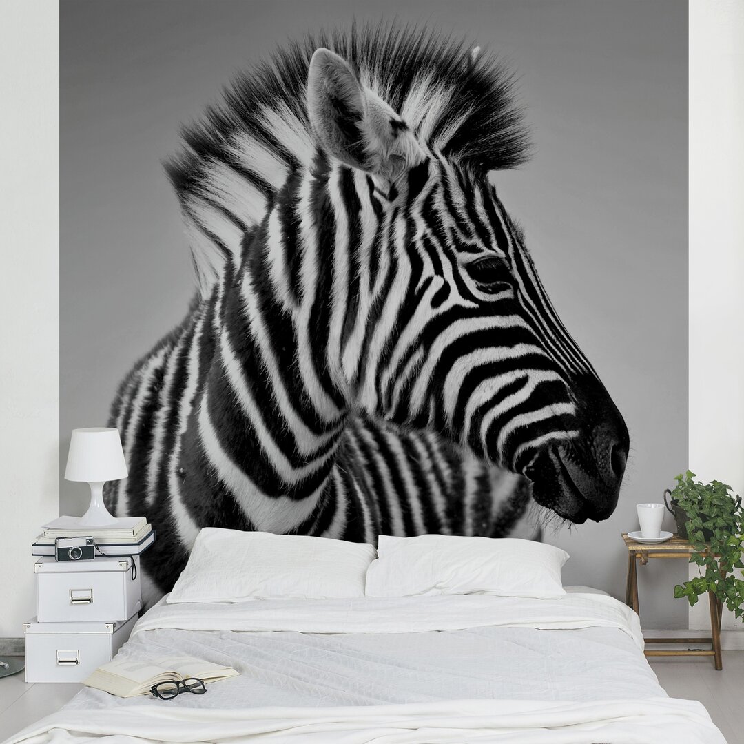 Tapete Zebra Baby Portrait II 2.88m L x 288cm B Lema