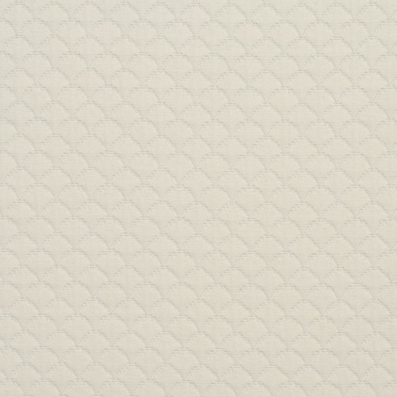 Tissu de coquillage