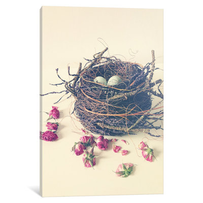 " Nest " by Olivia Joy StClaire