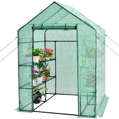 Kluesner 5 Ft W x 5 Ft D Hobby Greenhouse