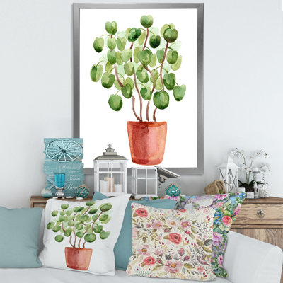 " Chinese Money Plant In Pot "