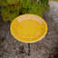 Bain d'oiseaux Lake-95064854