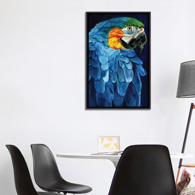 Ara bleu par Rachel Parker - reproduction d'art