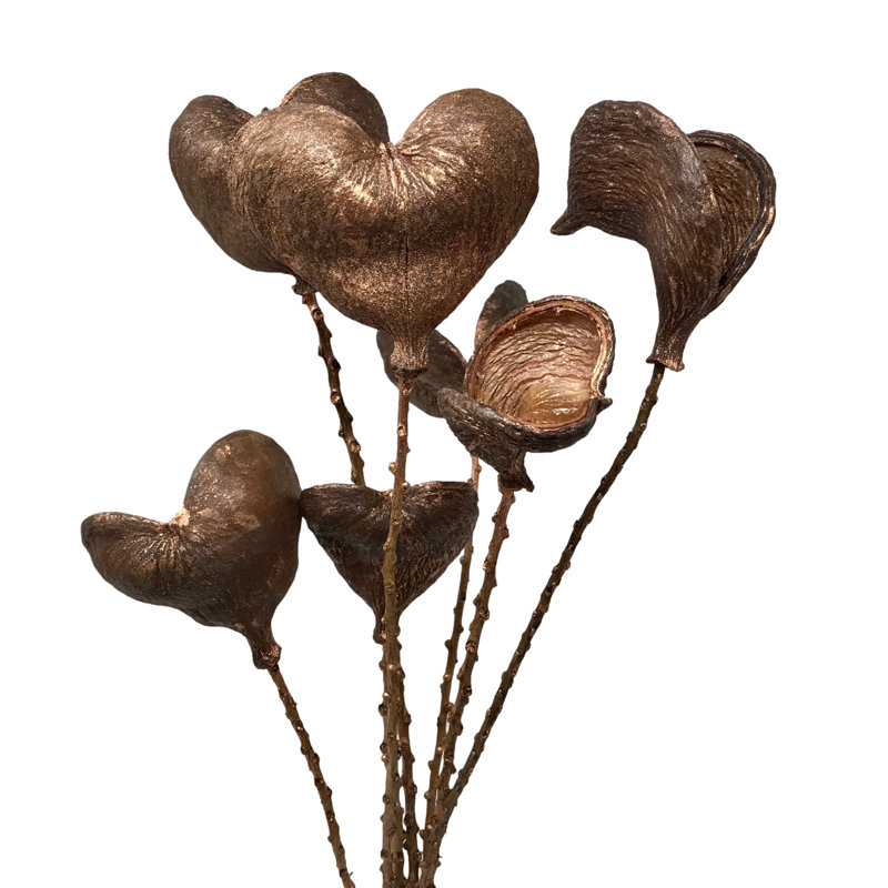 Farallones Arrangement