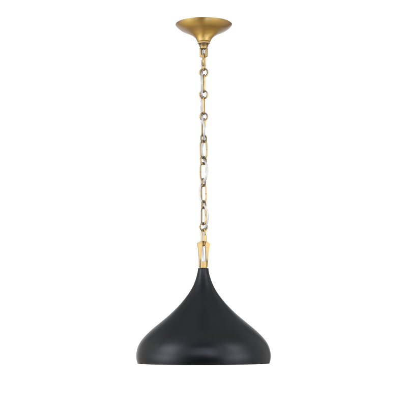 1 luminaire suspendu
